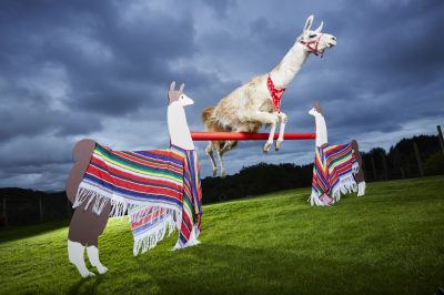 Black Rock Llamas