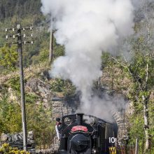Ffestiniog & Welsh Highland Railways