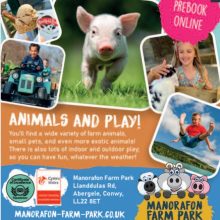 Manorafon Farm Park
