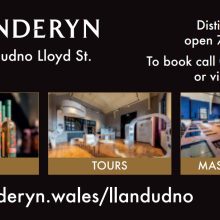 Penderyn Distillery